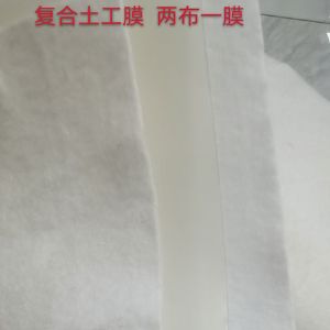 復合土工膜（兩布一膜）
